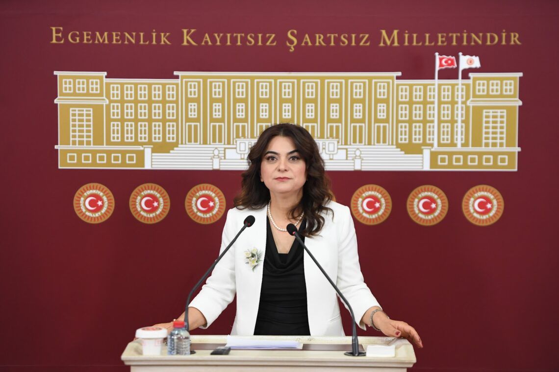 Gulîstan Kiliç Koçyigit: Divê rapora hevpar mafê hemû neteweyan mîsoger bike