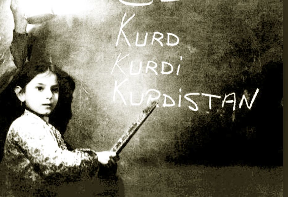 Kurdî li ber xwe dide, lê kurd çi dikin?