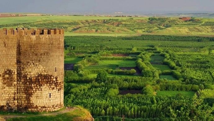 Li Amedê Bexçeyên Hewselê serdegirtina ‘tiryakê’