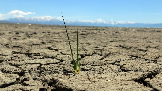 Talûkeya hişkesaliyê mezin dibe
