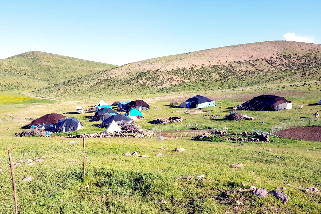 Jiyana xwezayî û azad: Koçerî