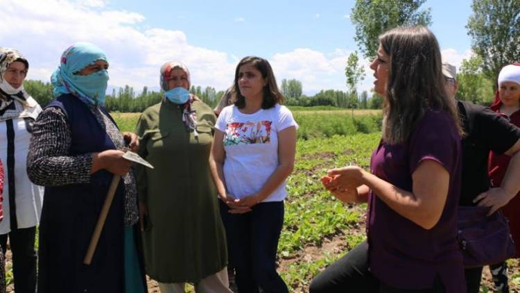 Meclisa Jinan serdana jinên kedkar kir