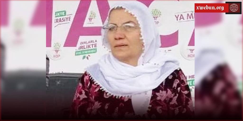 Girtiyên nexweş: Muhlîse Karaguzel