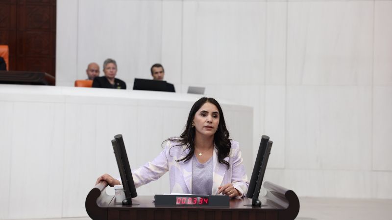 Parlamentera DEMê Newroz Uysal Aslanê îxraçkirina kedkarên cemaweriyê anî rojeva meclisê