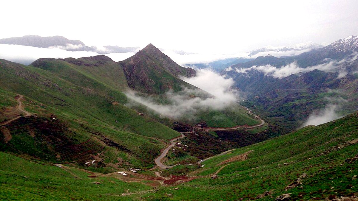 Zanîna xwendina zimanê xwezayê