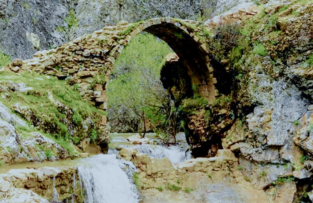 Zêr zane zor zane devê tivinga mor zane!