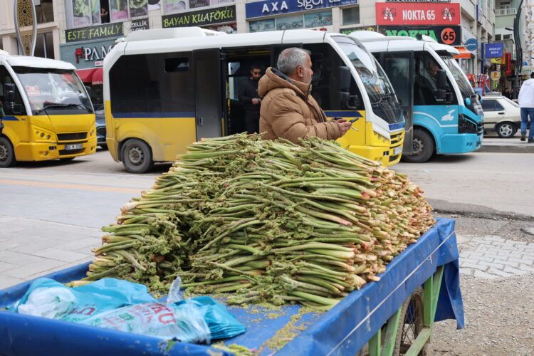 Dermanê nexweşiyan Ribêsan li ser dezgahan cihê xwe girt.