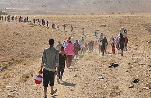 Civaka herî kevnar, li ber şûrê çeteyên herî hov: Êzidî 