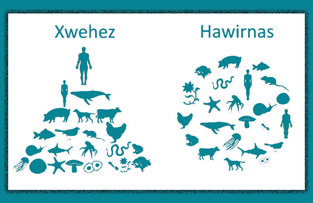 Lêkolînên zanistî pîvana paradîgmaya nû diyar dikin