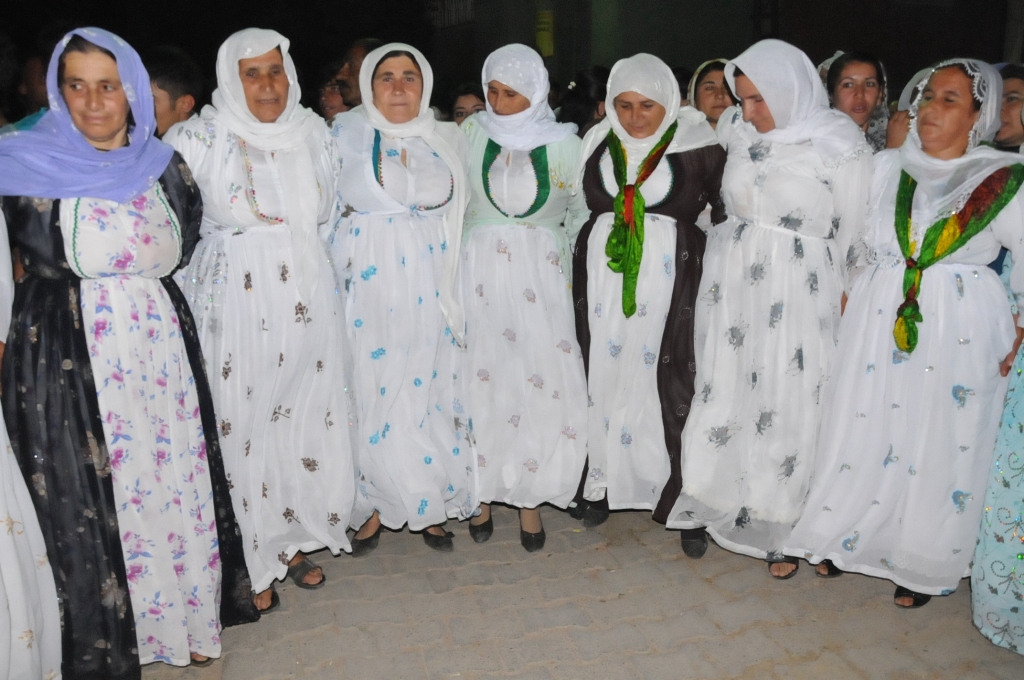 Halay an govenda kurdan ?