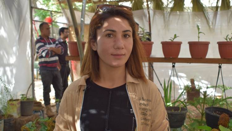 Li Kobanê pêşengeha şitlên gulan