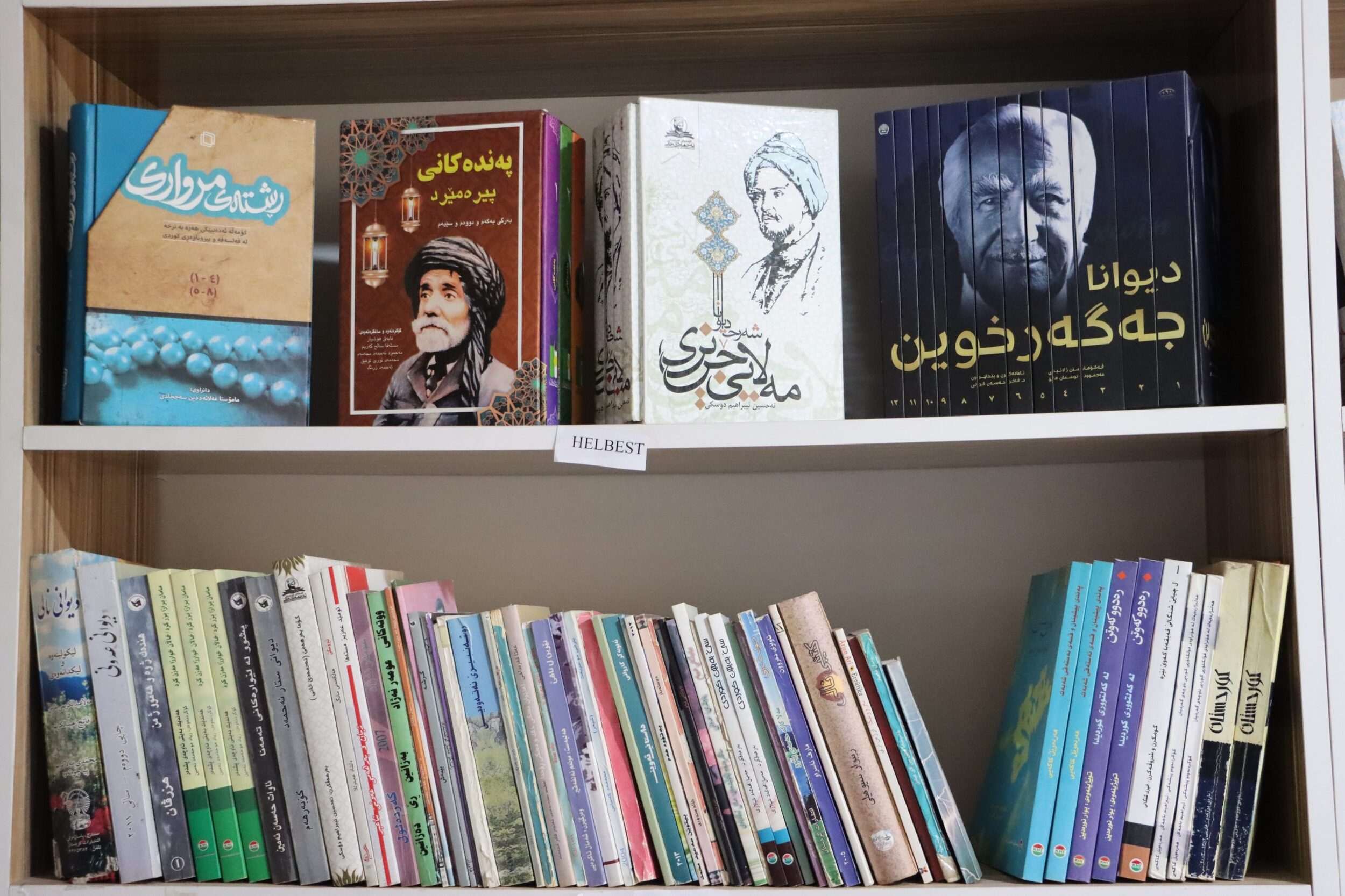 SZK zimanê Kurdî ji bişaftinê diparêze