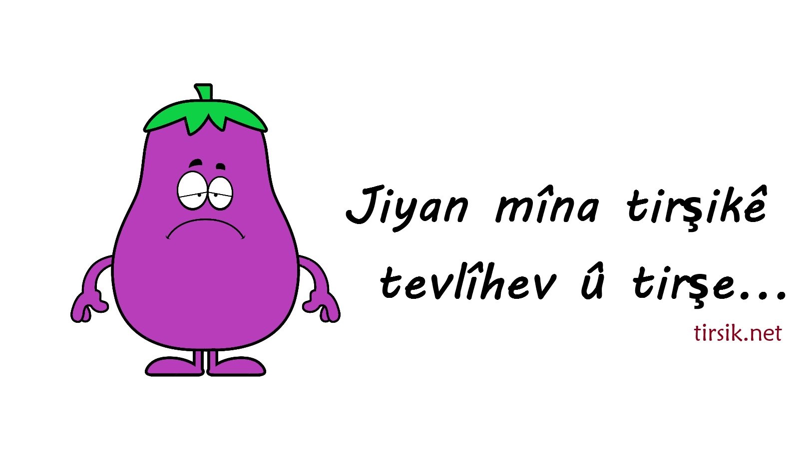 'Tirşik' keşkûleke modern e