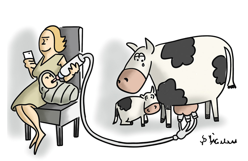 Veganîzm ne çi ye?