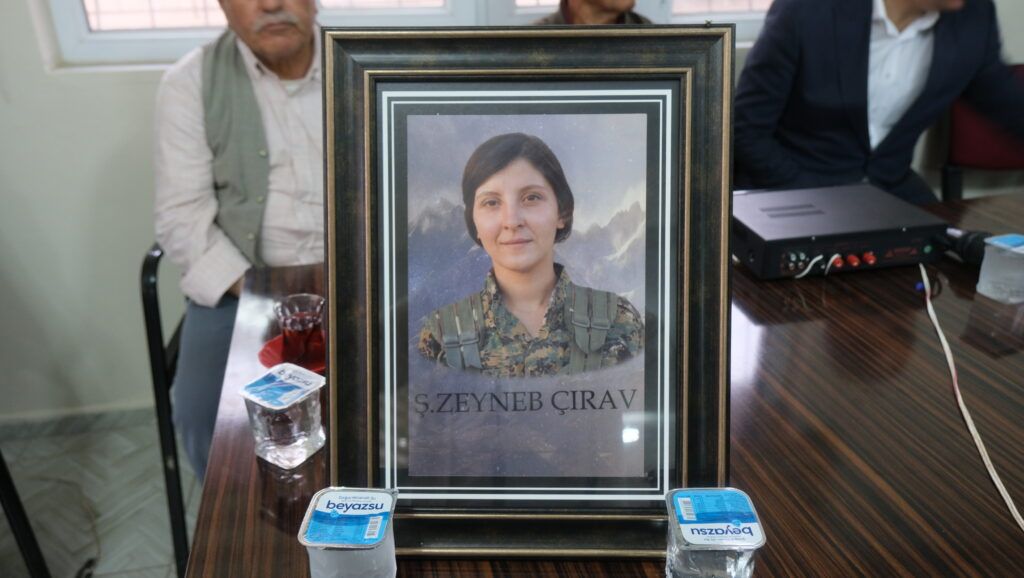ypj.jpg