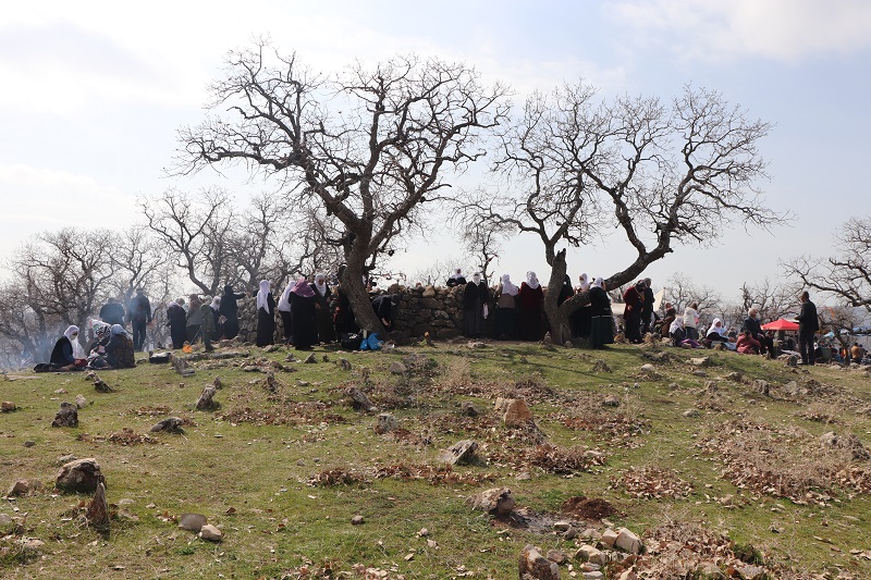Mizgîniya biharê; Çarşema Serê Zîpa