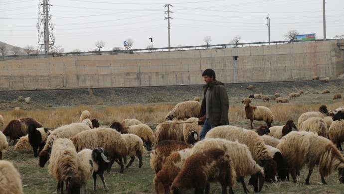 Rêwîtiya ber bi zozanan ve dest pê kir
